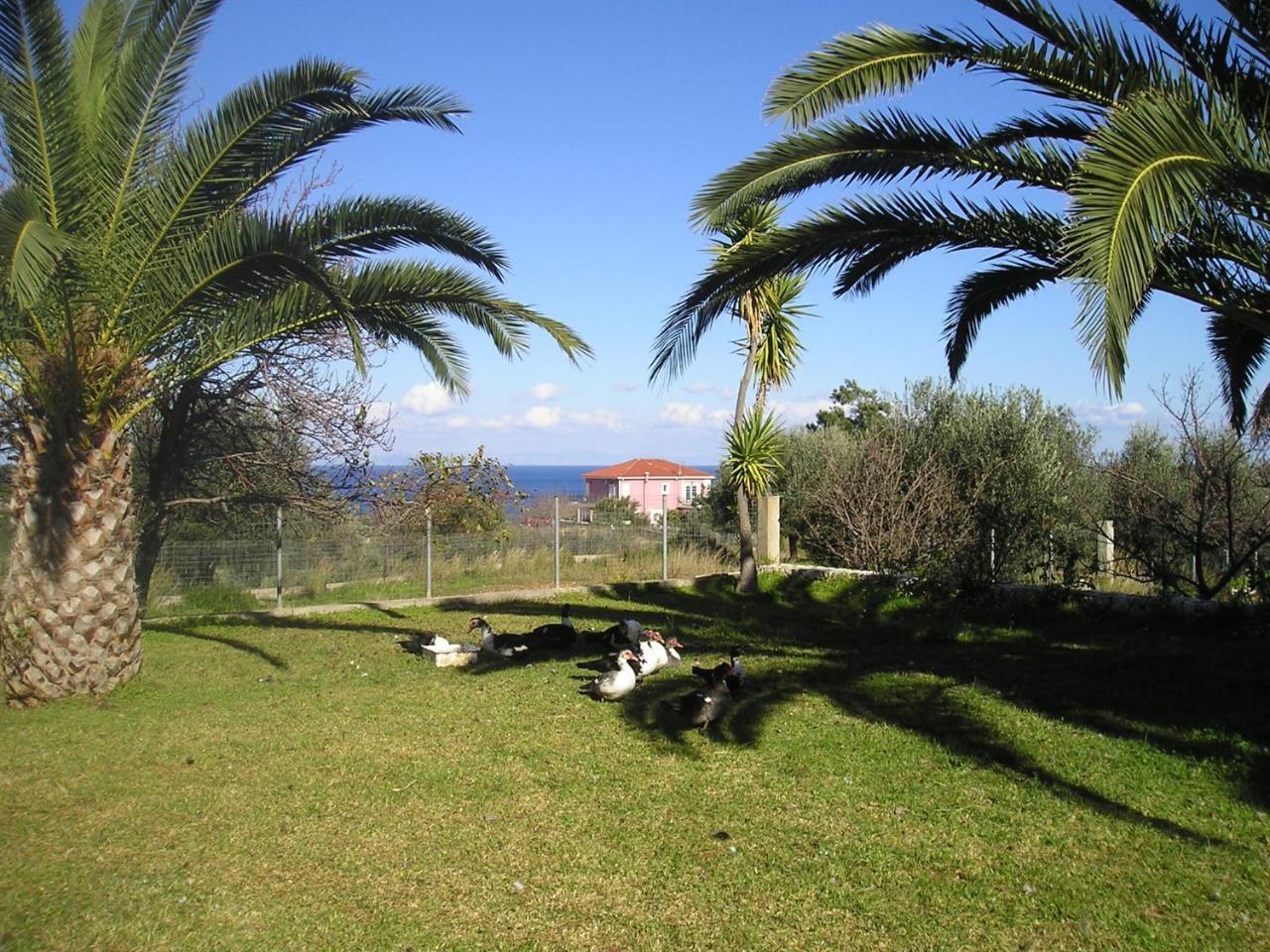 Nikolaos Studios Skala Skala  외부 사진
